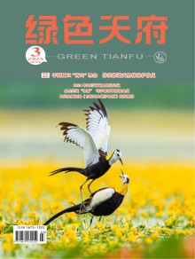 绿色天府杂志